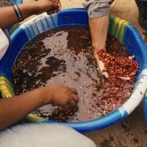 5. Lavage - flottaison