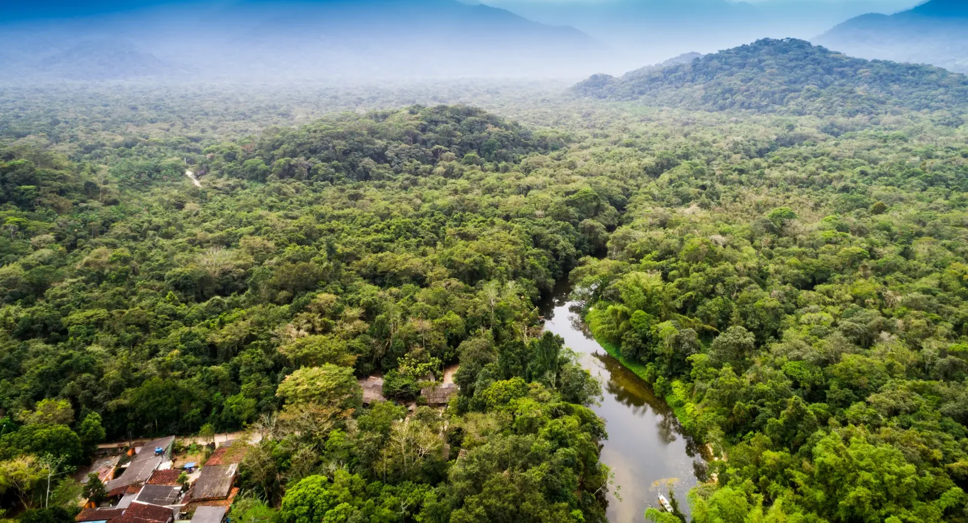 Impact-Wednesdays-Article-293-Impact-Twitter-1_0.png-1-e1771526367974